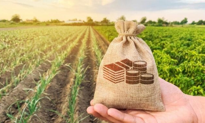 Incentivos agrícolas y facilitaciones del sector agrícola